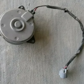 Motorçik
