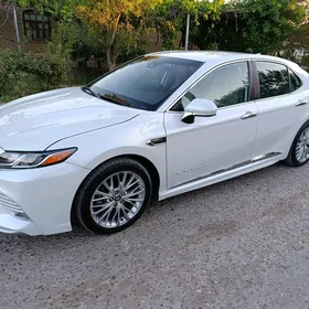 Toyota Camry 2019