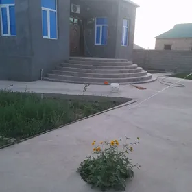 satlyk jaÿ