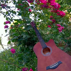 Gitara