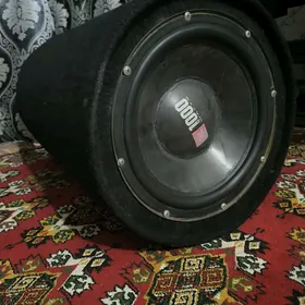 Sambufer bocka