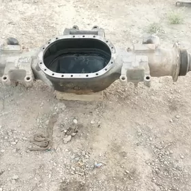 маз челок