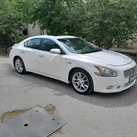 Nissan Maxima 2010