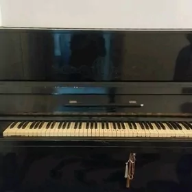 pionino
