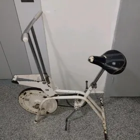 Sport tigir