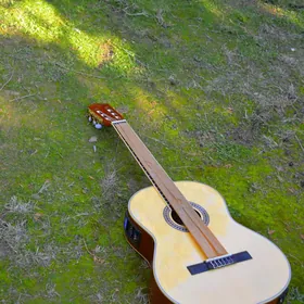 ELEKTRO GITARA