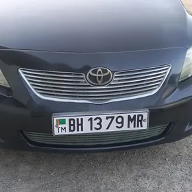 carolla fara bufer