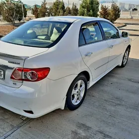 Suruji iş gerek