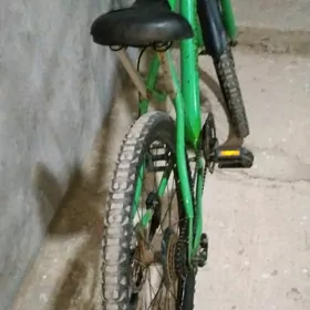 Turkmenistan welik