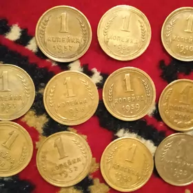 1.2 копейка Монета Teññe köpük