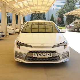 Toyota Corolla 2021