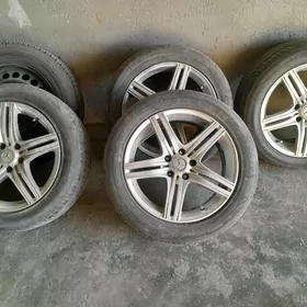 diska R17