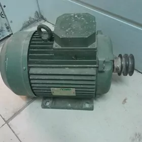 elekdyra mator