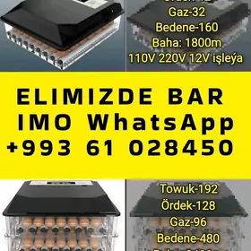 inkubator towuk jüýje horaz