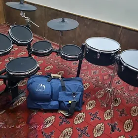 Alesis  dm 10