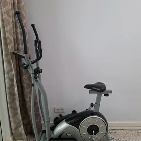 Trinajor