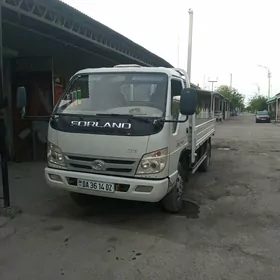 Forland H2 2014