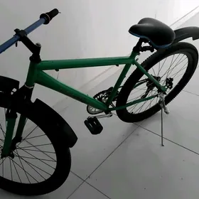 Turkmenistan tigir