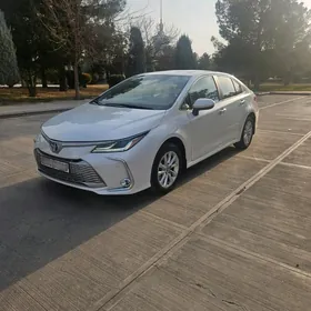 Toyota Corolla 2024