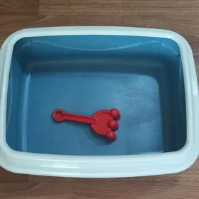 Лоток