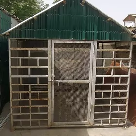 ketek