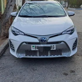 Toyota Corolla 2016