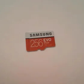 çip 256lyk
