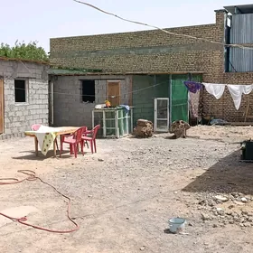 şor garadanak