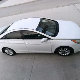 Hyundai Sonata 2010