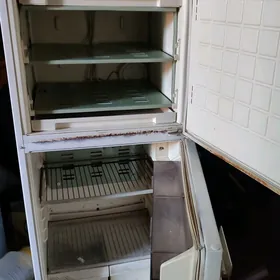haladelnik