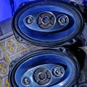 pioneer kalonka