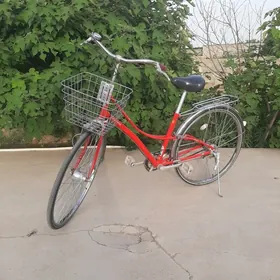Tigir  wekik Ýapoşka