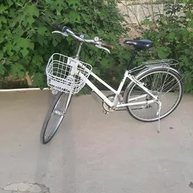 Tigir 26-lyk Ýapoşka