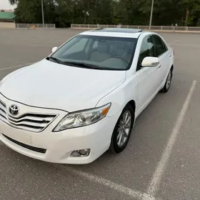 Toyota Camry 2009