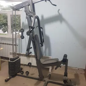 sport enjam