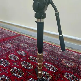 monopot