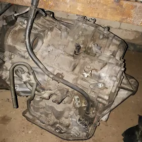 karopka angar 2.4