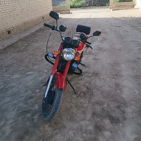 Fekon FK150-8G 2015