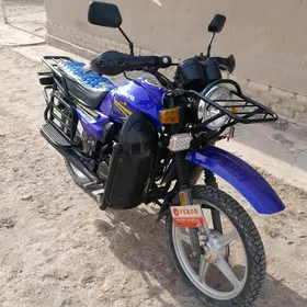 Fekon FK150-8G 2024