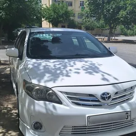 Toyota Corolla 2013