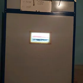 Enkubator