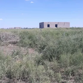 satlyk jay S Turkmenbaşy etrap