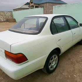 Toyota Corolla 1995