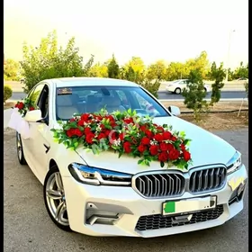 GELNALJY AGSAM TOY BEZEGLERI
