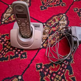 Panasonic