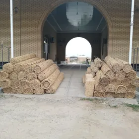 Гамыш Gamyş Ak öÿ