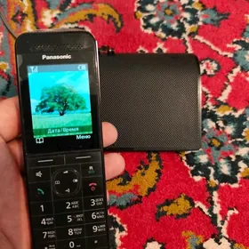 Domashny Panasonic