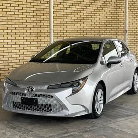 Toyota Corolla 2019