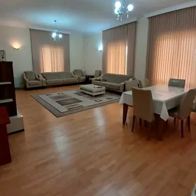 ЭЛИТКА АРЧАБИЛЬ 2 ЭТ ПРОДАЖА