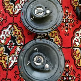 Kalonka Carolla
